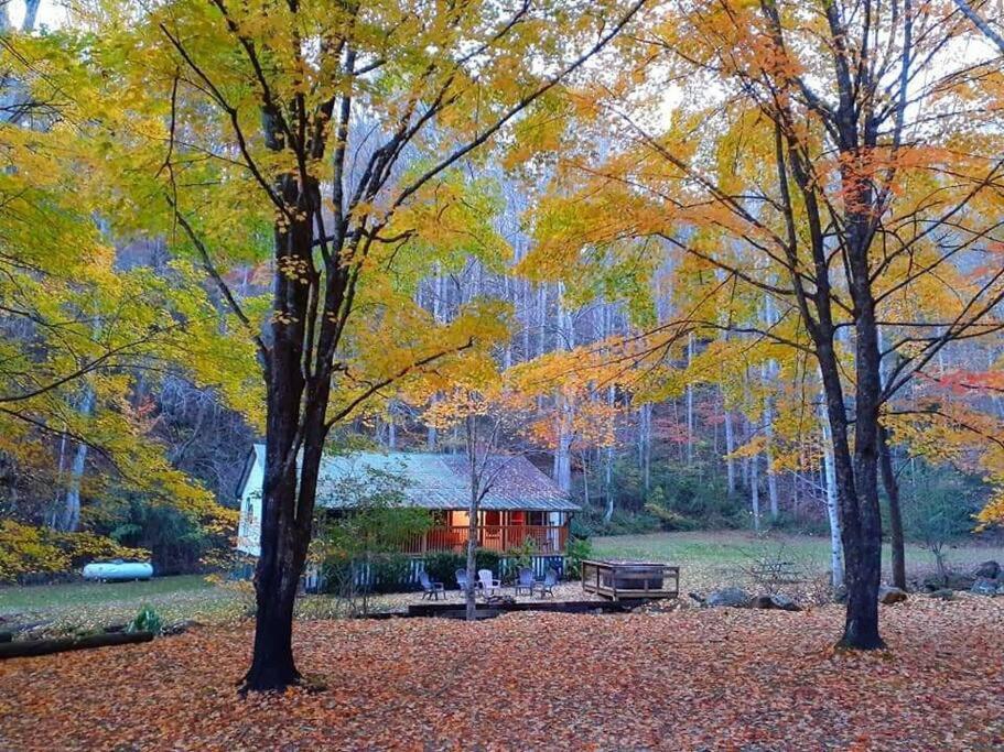 Creekside 1920'S Farmhouse Villa Bryson City Exteriör bild