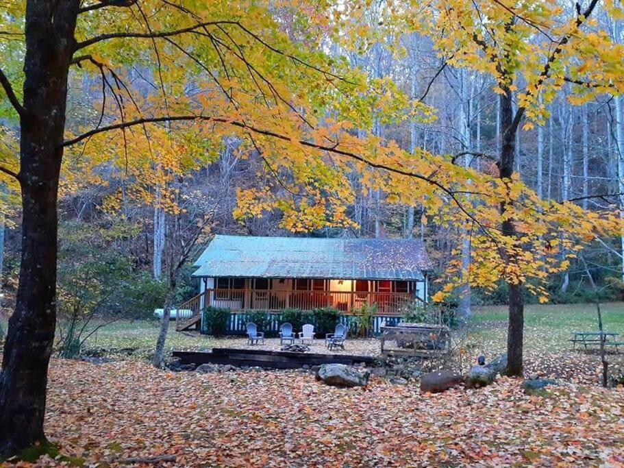 Creekside 1920'S Farmhouse Villa Bryson City Exteriör bild